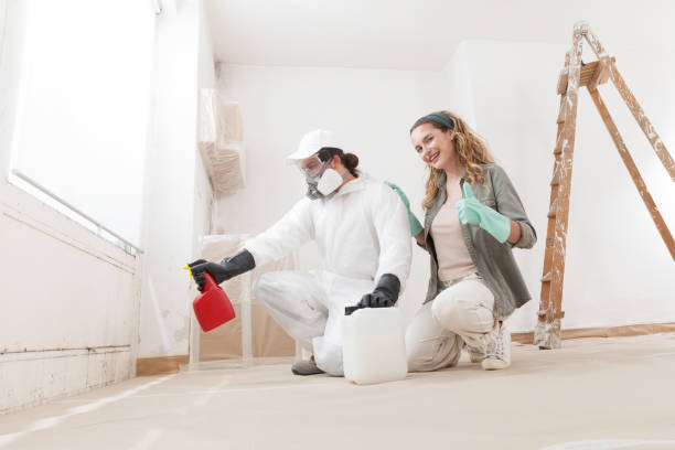 Best Mold Documentation for Insurance Claims  in Johnstonville, CA